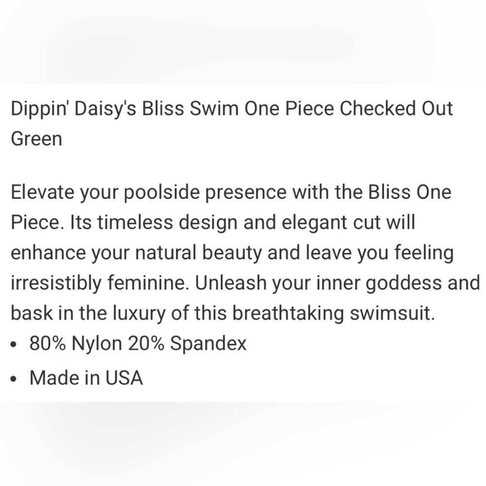 Women’s Dippin’ Daisy’s Bliss One Piece Swimsuit Checked Out Small - Picture 16 of 16